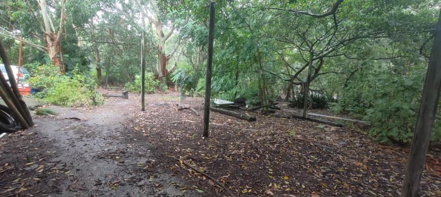 3 Bedroom Property for Sale in Greenbushes Eastern Cape